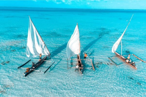 Zanzibar, destination nature en Tanzanie