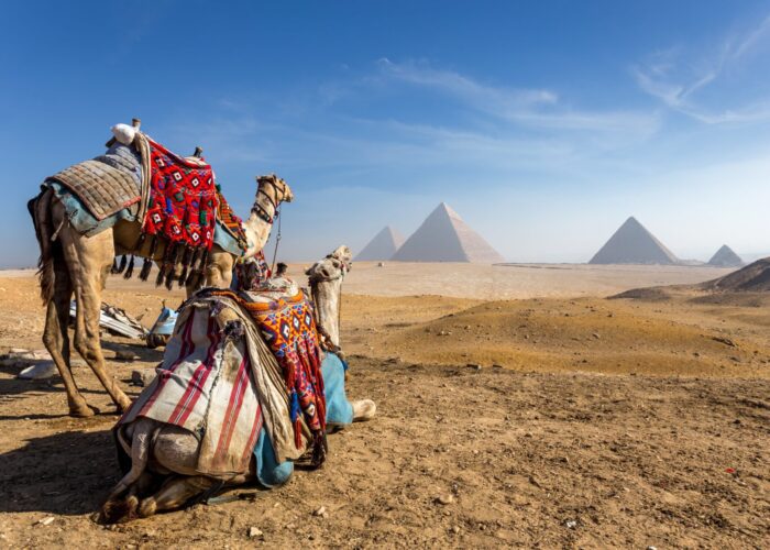 Séminaire au Caire