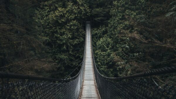 Séminaire au Canada - Lynn Canyon