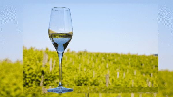 Destinations originales près de Paris - Voyage à Champagne