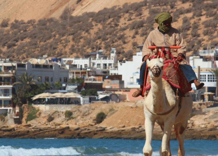séminaire à Taghazout, à la mer